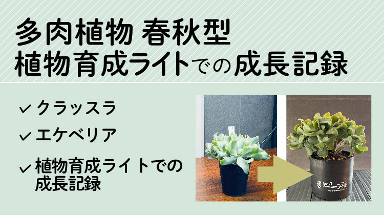 屋内植物成長用ライト、屋内植物用成長ライト - タイマー付き成長ランプ - 生々し